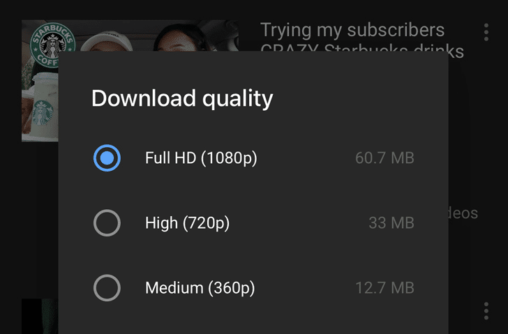 YouTube Premium Feature: Offline Videos 1080p