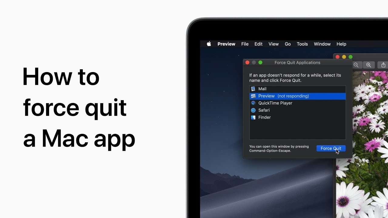 How To Force Quit Apps on Mac