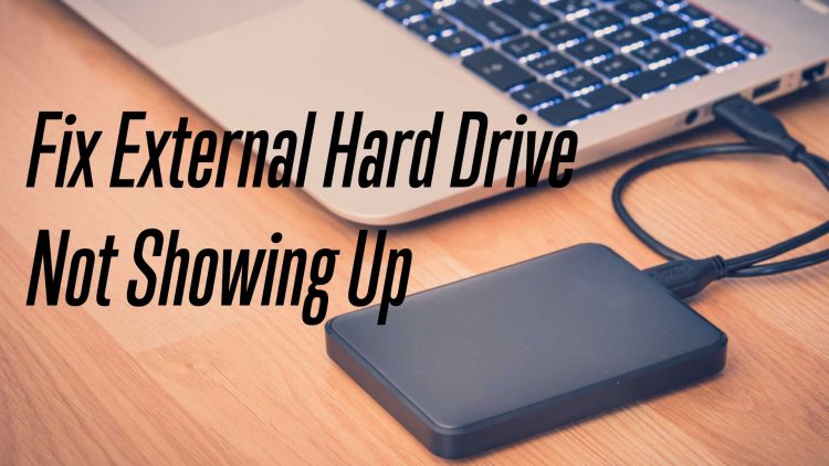 mac external hard drive partition not showing up