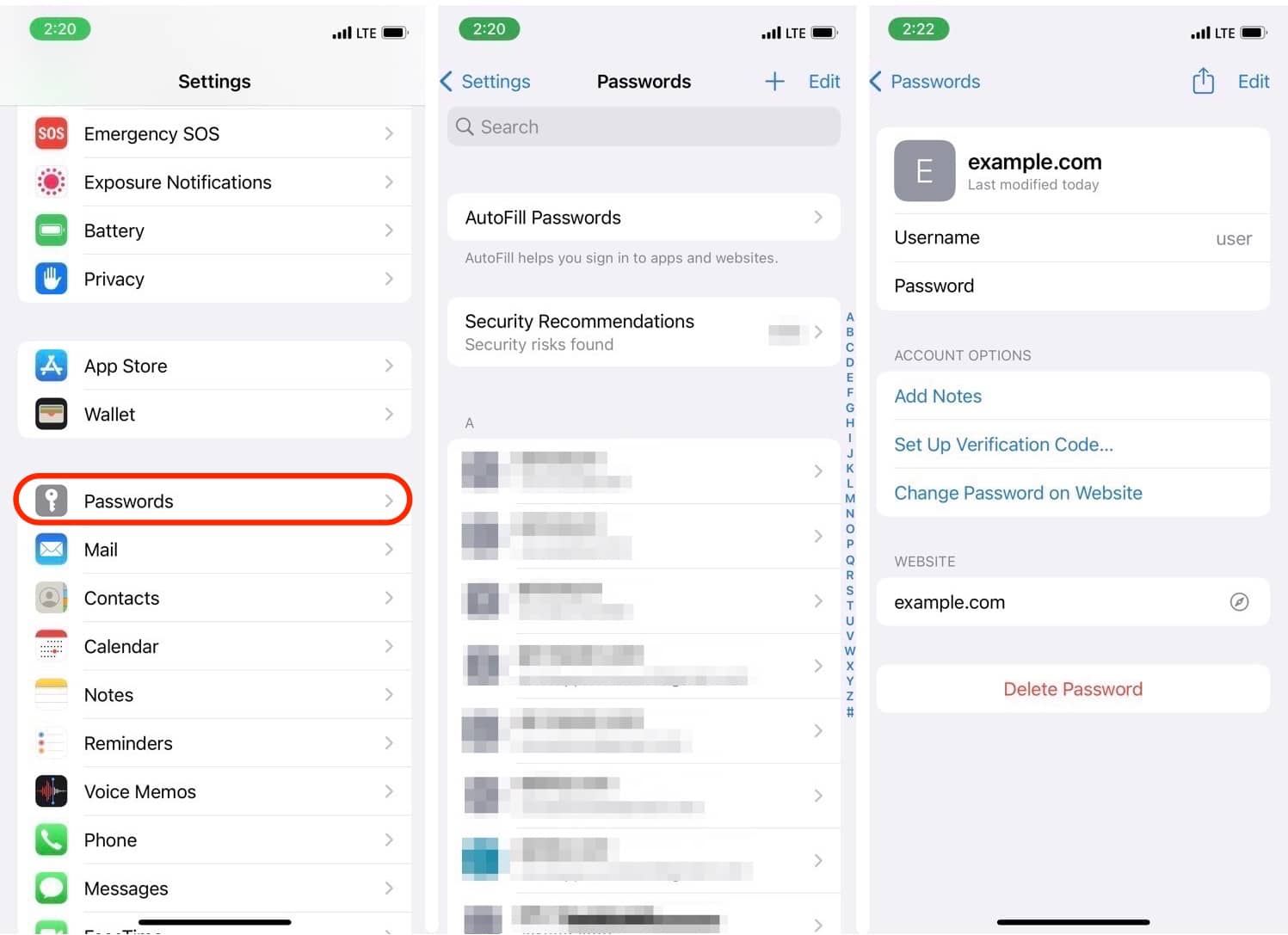 Saved Password on iPhone and iPad