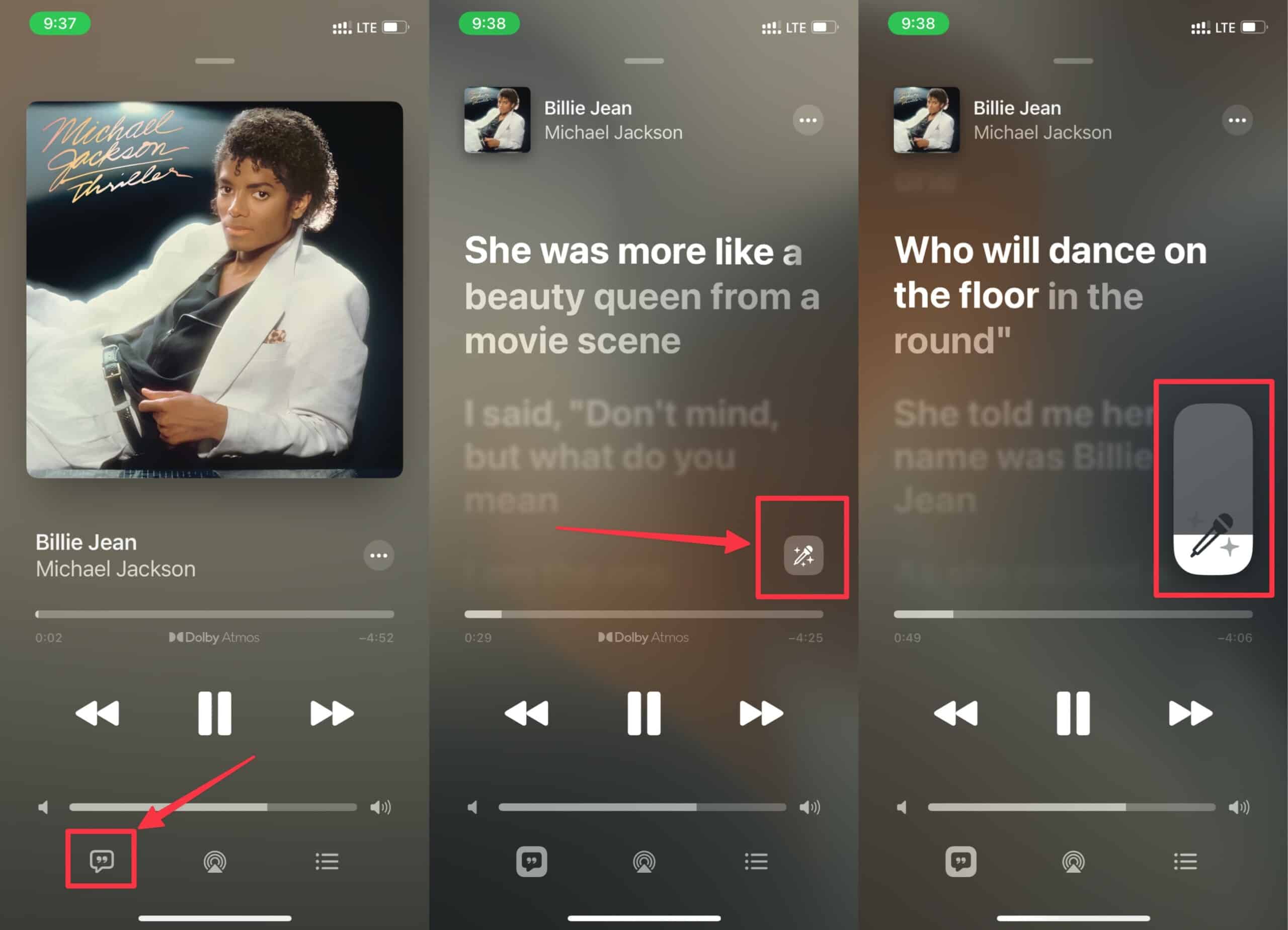 Enable Apple Music Sing on iPhone